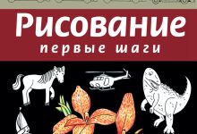 Photo of Изучение основ рисования: первый шаг к творчеству